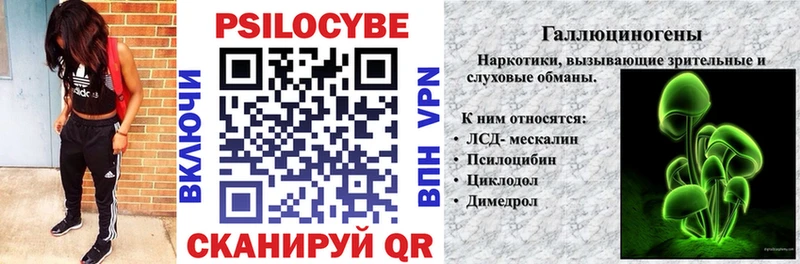 Галлюциногенные грибы Psilocybe  как найти закладки  блэк спрут вход  Апрелевка 
