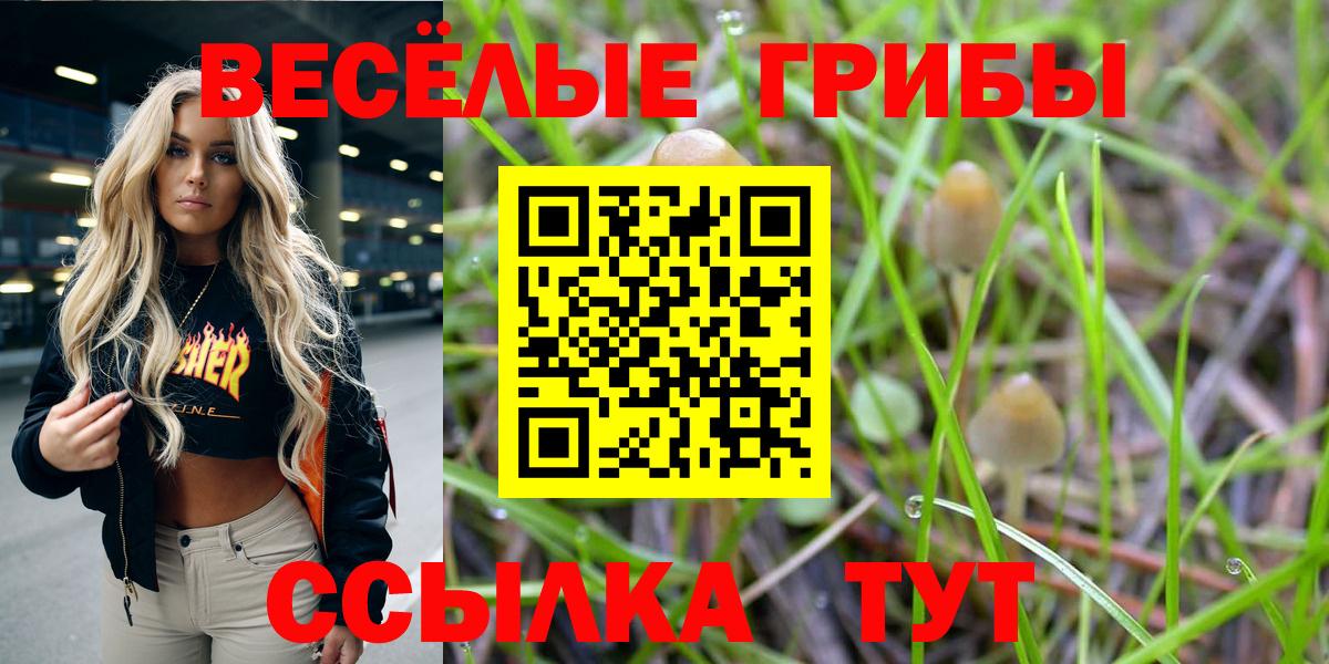 Псилоцибиновые грибы MAGIC MUSHROOMS  где продают наркотики  Апрелевка  Вход с VPN  Псилоцибиновые грибы прущие грибы 