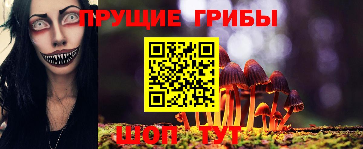 Галлюциногенные грибы GOLDEN TEACHER Апрелевка