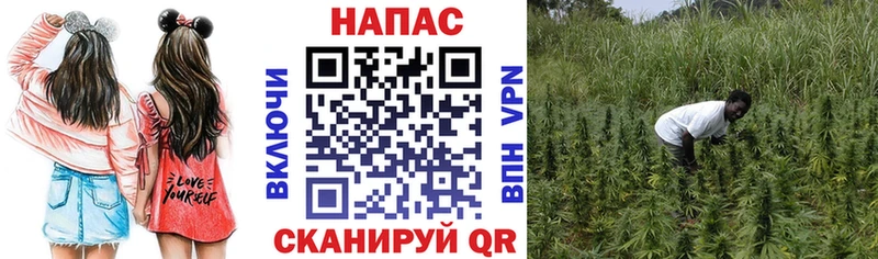 цены наркотик  Апрелевка  hydra как зайти  Каннабис Ganja 